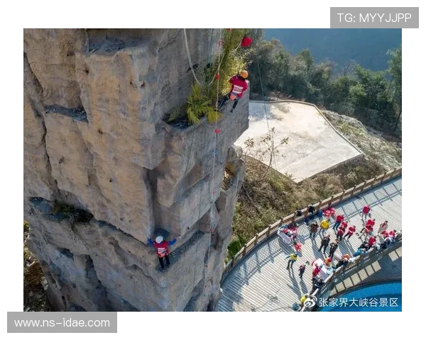 极限运动战术解析：北京极限运动队的防守反击体系探秘与实践